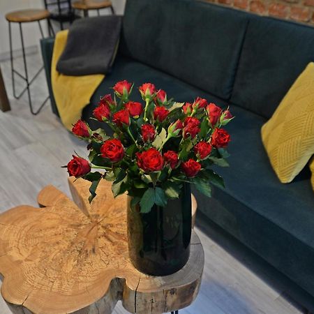 Apartmán Loft Maly Kościerzyna Exteriér fotografie